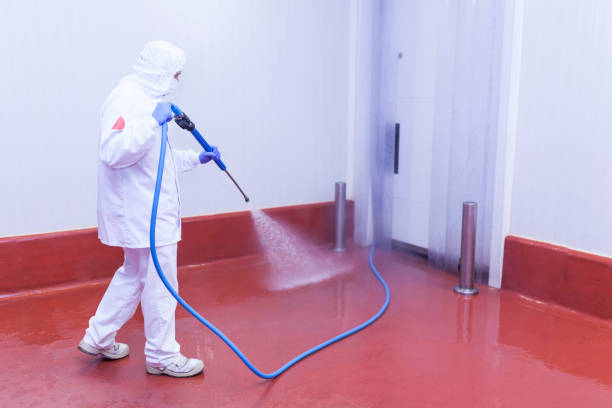 Best House Exterior Washing  in Secaucus, NJ